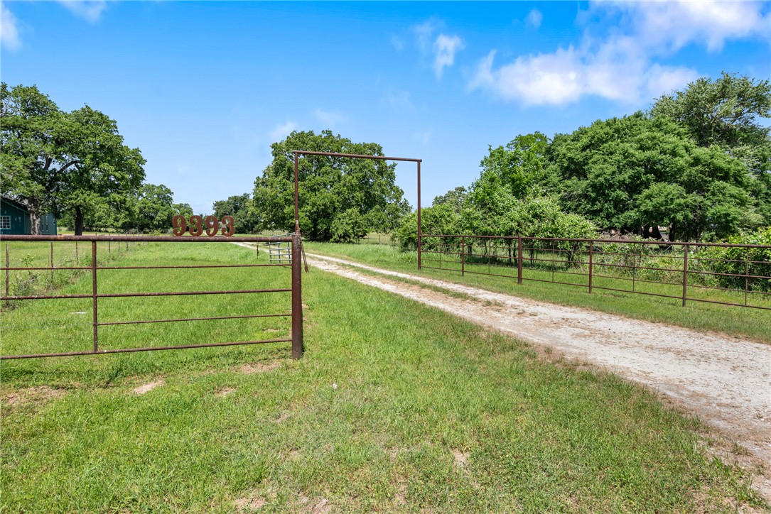 9393 Locke Road Bryan, TX 77808 - Photo 5 of 39 a view of a park