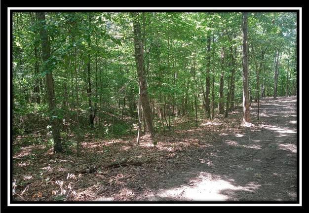 1165 McCarley Road Vinton, OH 45686 - Photo 14 of 21 Gallery Image 14