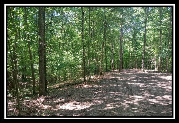 1165 McCarley Road Vinton, OH 45686 - Photo 16 of 21 Gallery Image 16