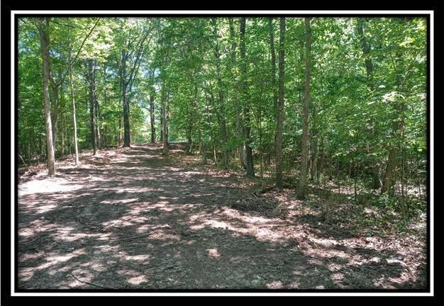 1165 McCarley Road Vinton, OH 45686 - Photo 17 of 21 Gallery Image 17