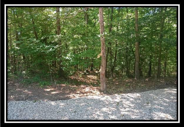 1165 McCarley Road Vinton, OH 45686 - Photo 9 of 21 Gallery Image 9