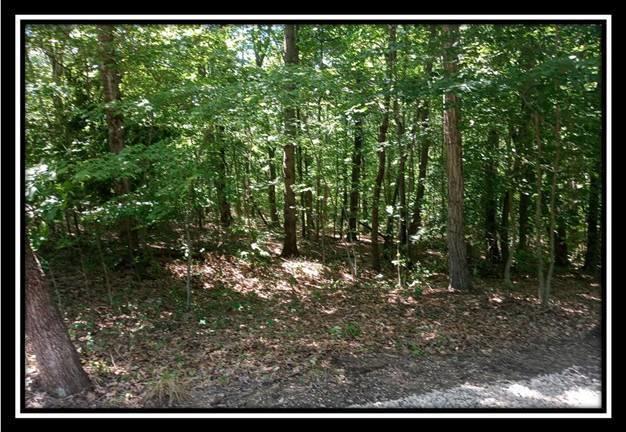 1165 McCarley Road Vinton, OH 45686 - Photo 10 of 21 Gallery Image 10