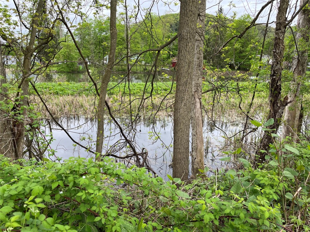 16 Ithaca Road Candor, NY 13743 - Photo 10 of 45