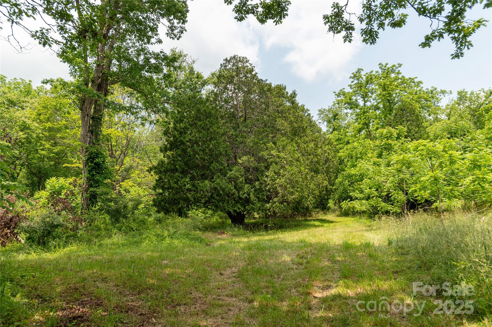 997 Tole Allison Road Mills River, NC 28759 - Photo 11 of 11 a view of yard with green space