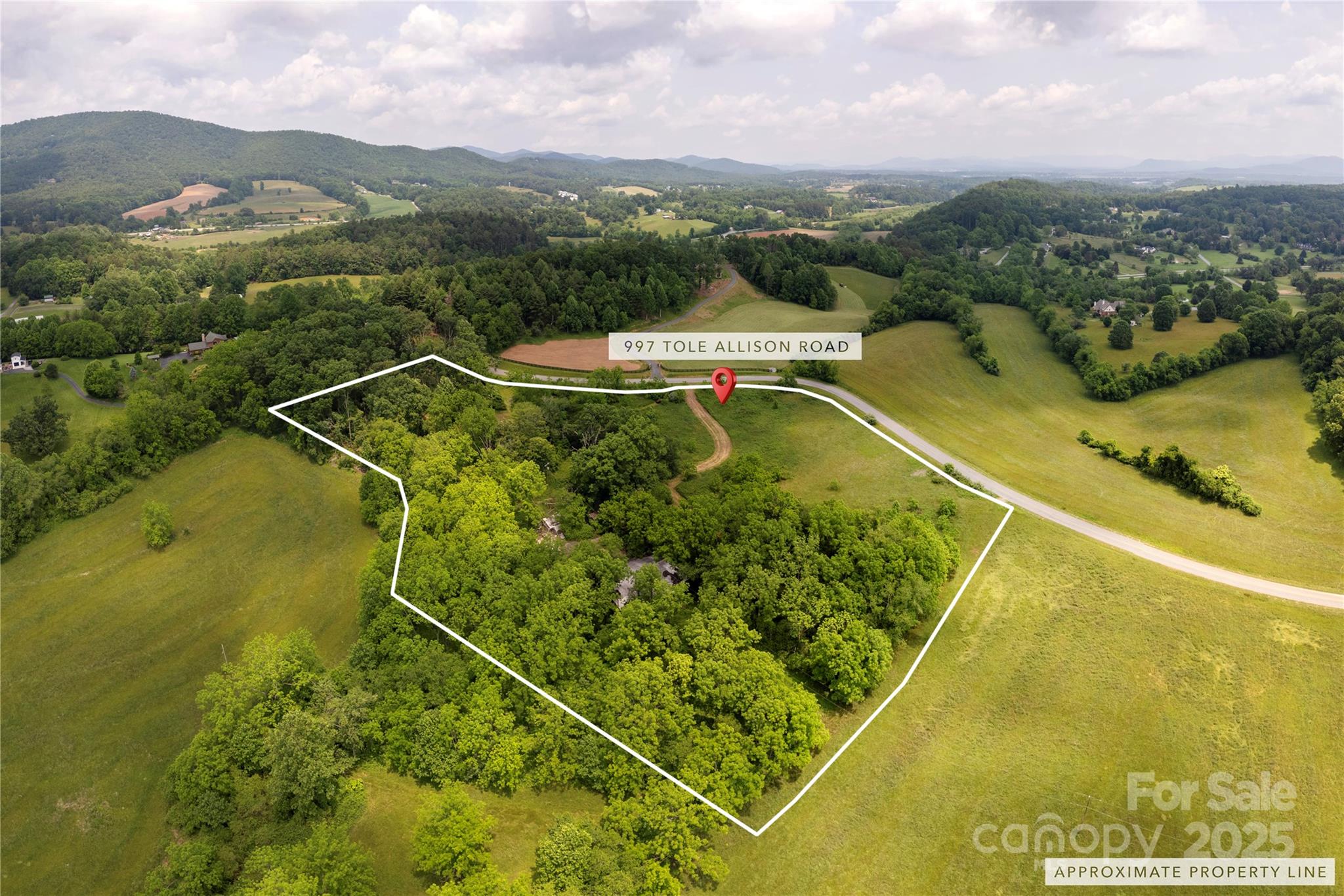 997 Tole Allison Road Mills River, NC 28759 - Photo 3 of 11 a view of a tennis court