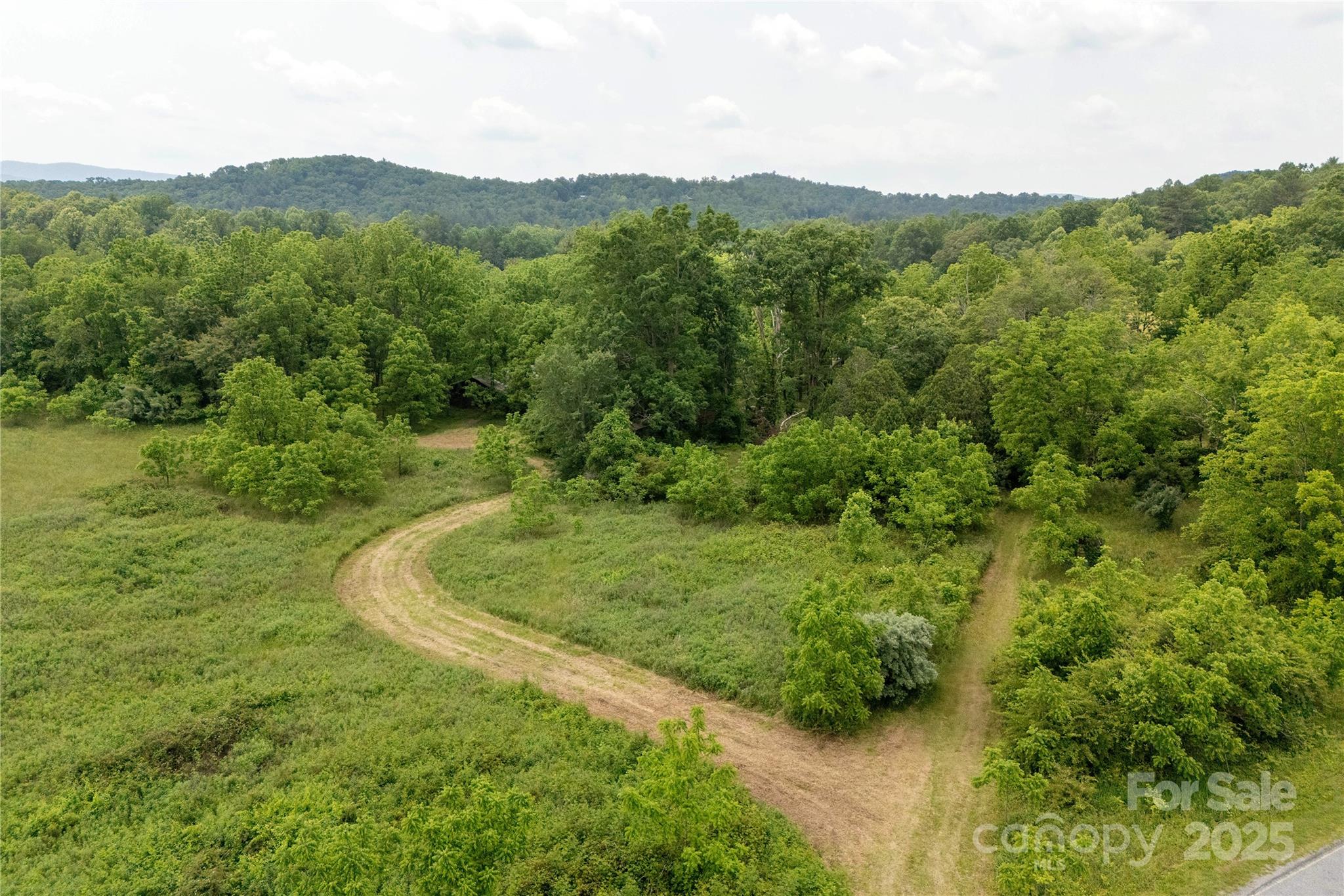 997 Tole Allison Road Mills River, NC 28759 - Photo 4 of 11 a view of a lush green field