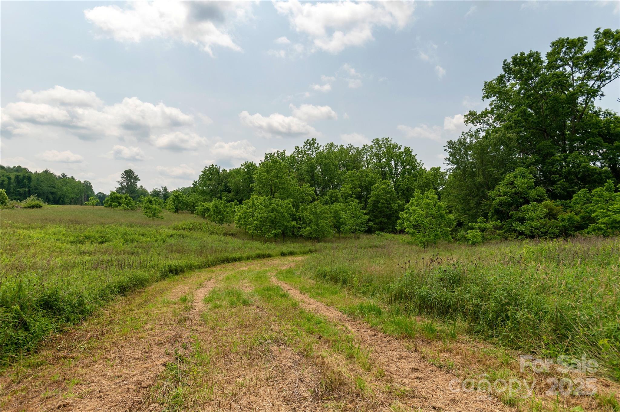 997 Tole Allison Road Mills River, NC 28759 - Photo 5 of 11 a view of an outdoor space and yard