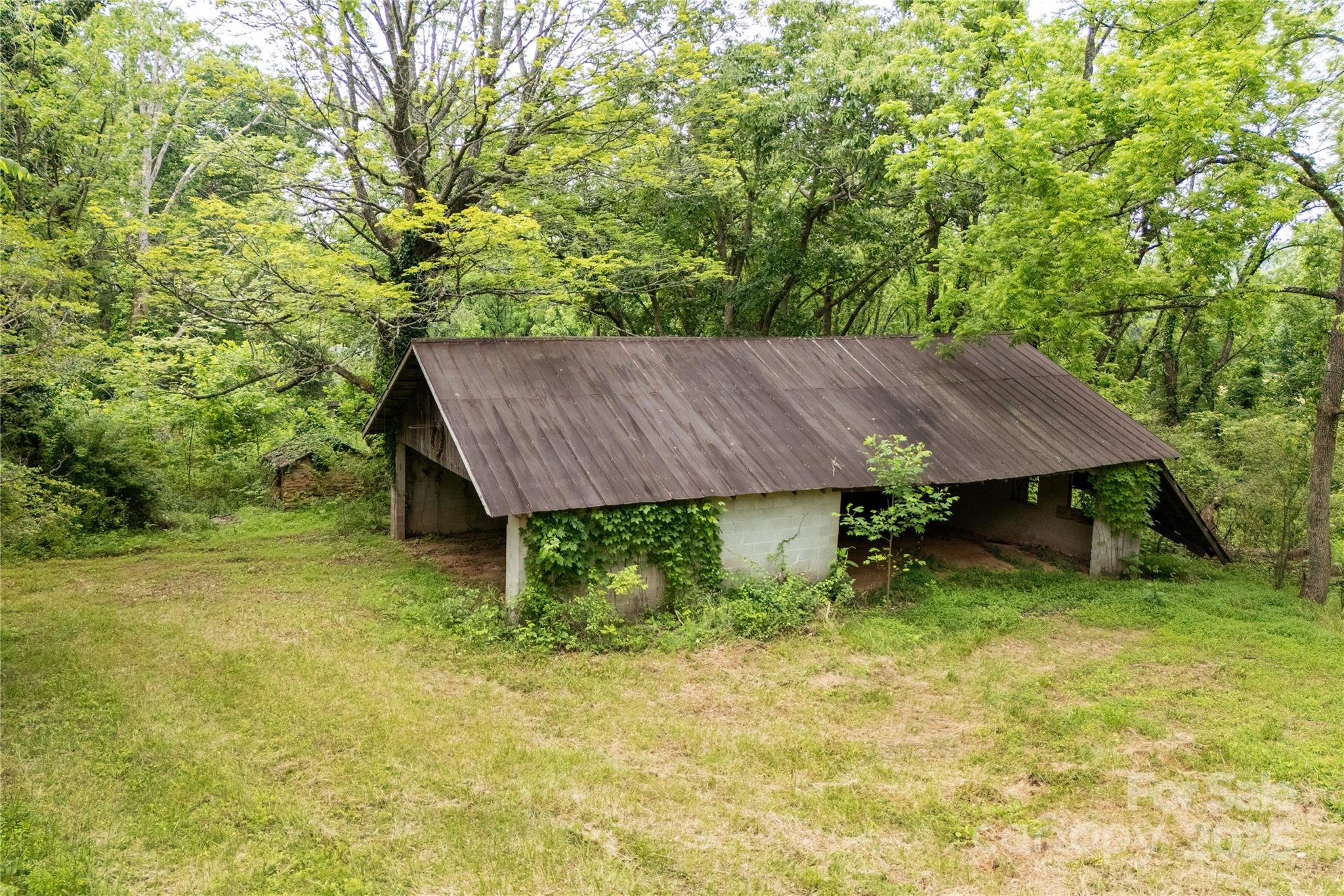 997 Tole Allison Road Mills River, NC 28759 - Photo 6 of 11 a backyard of a house with yard and trampoline