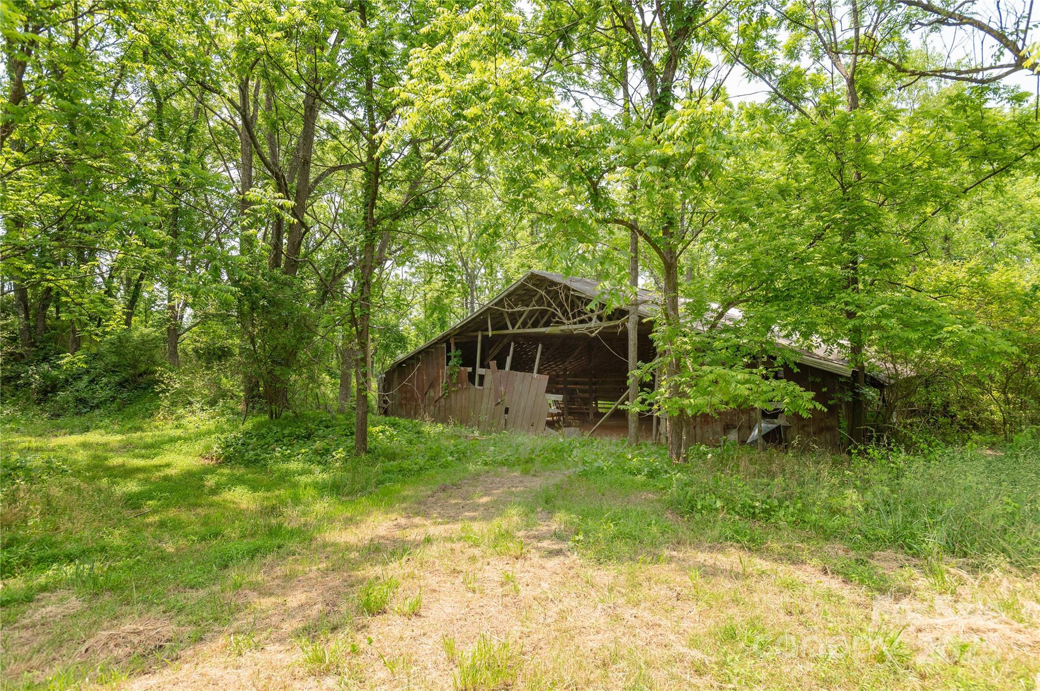 997 Tole Allison Road Mills River, NC 28759 - Photo 7 of 11 a backyard of a house with plants and large trees