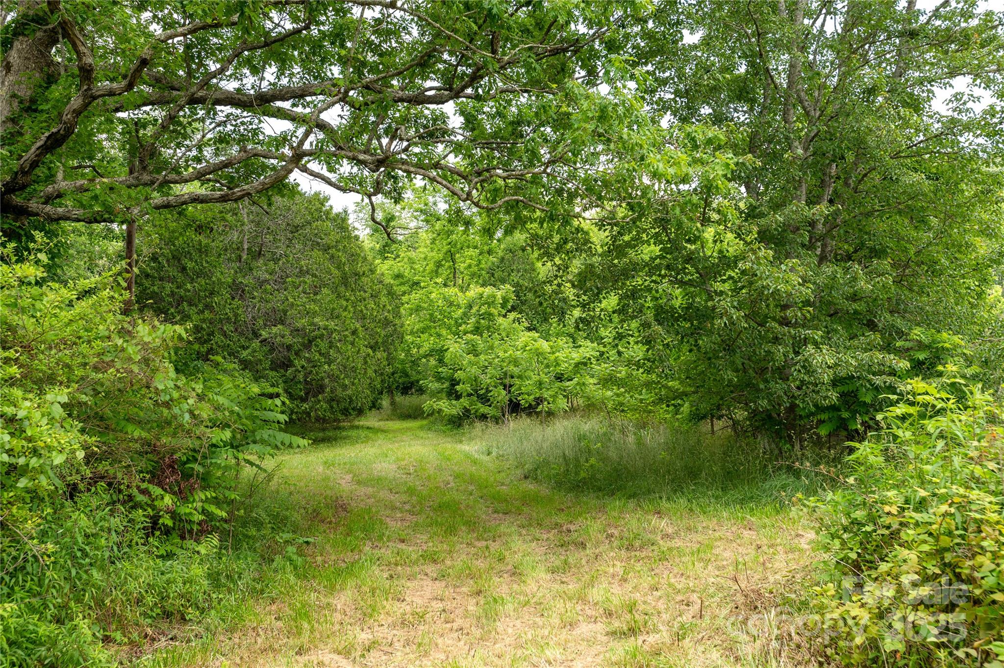 997 Tole Allison Road Mills River, NC 28759 - Photo 9 of 11