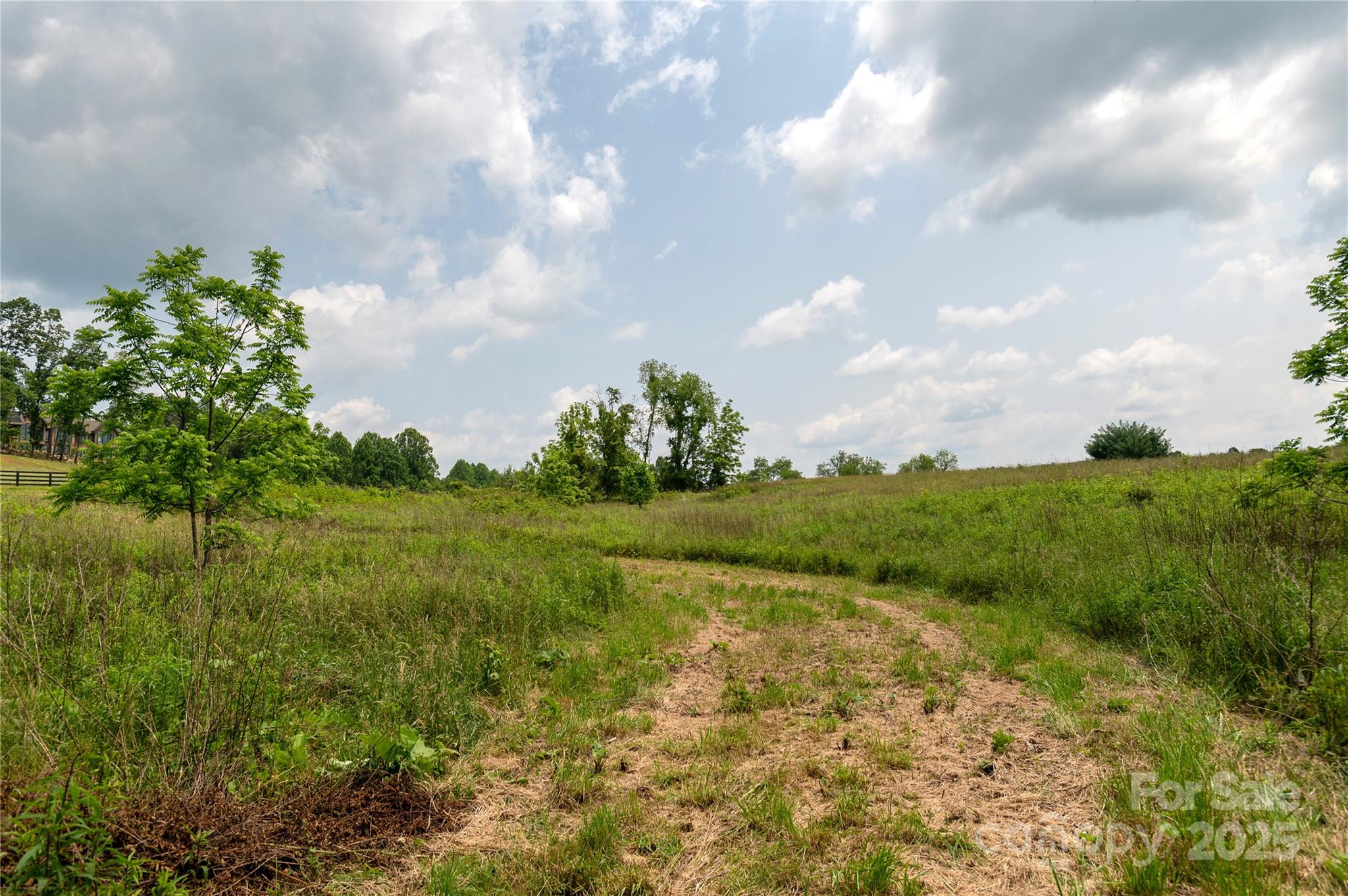 997 Tole Allison Road Mills River, NC 28759 - Photo 10 of 11 a view of lake with green space