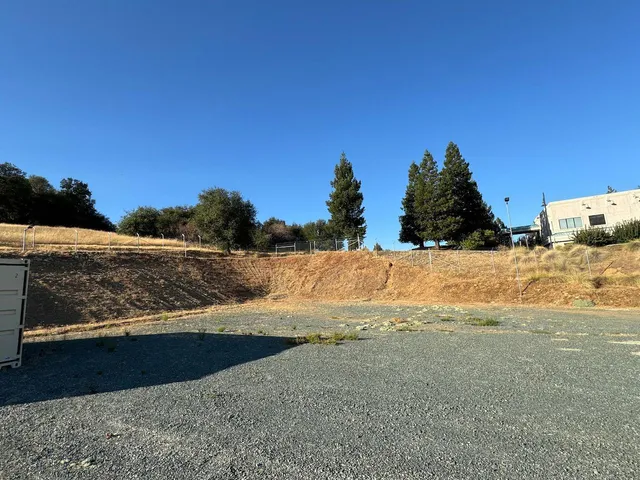a view of ocean with large trees