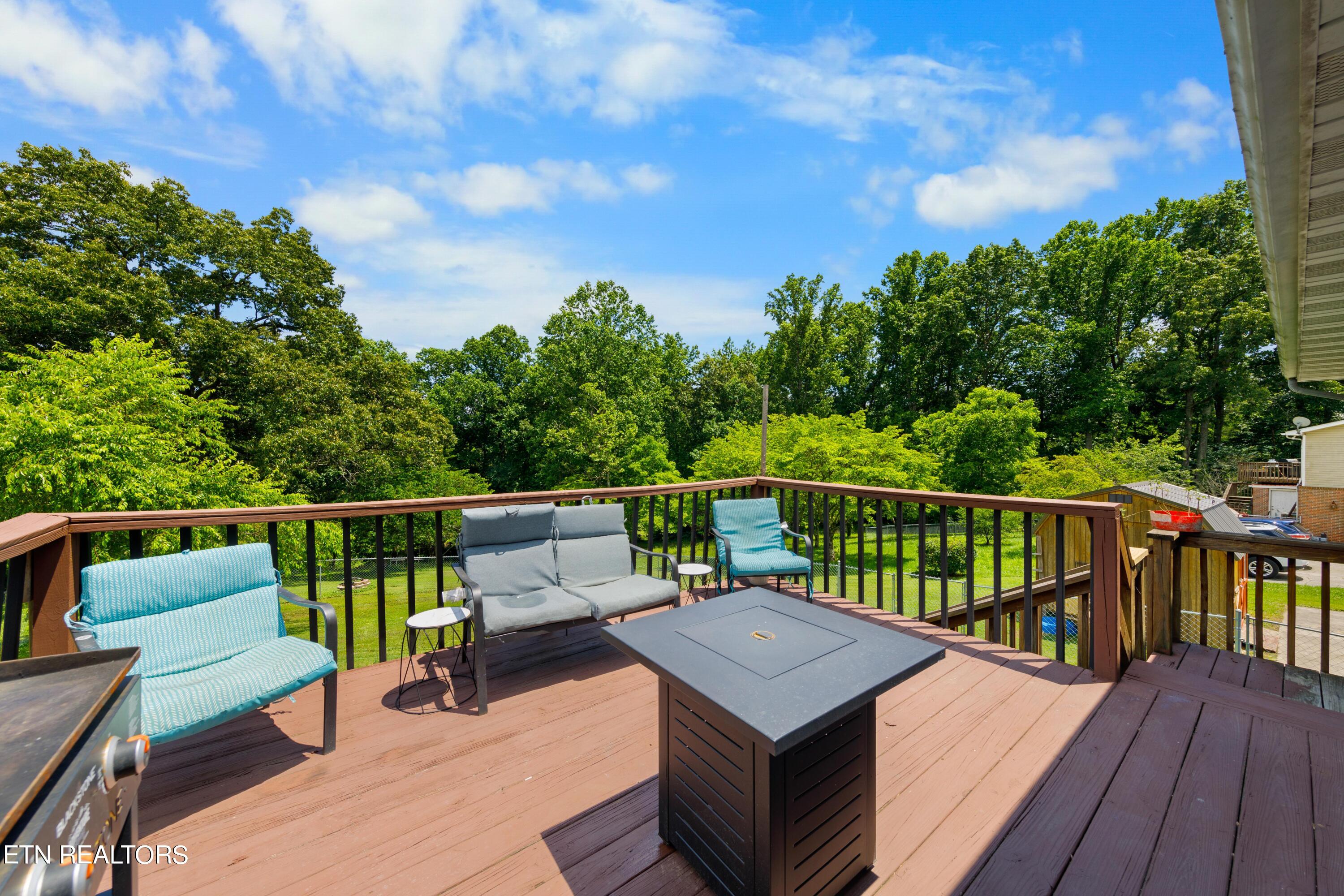 395 Morton Road La Follette, TN 37766 - Photo 23 of 31 030A3056