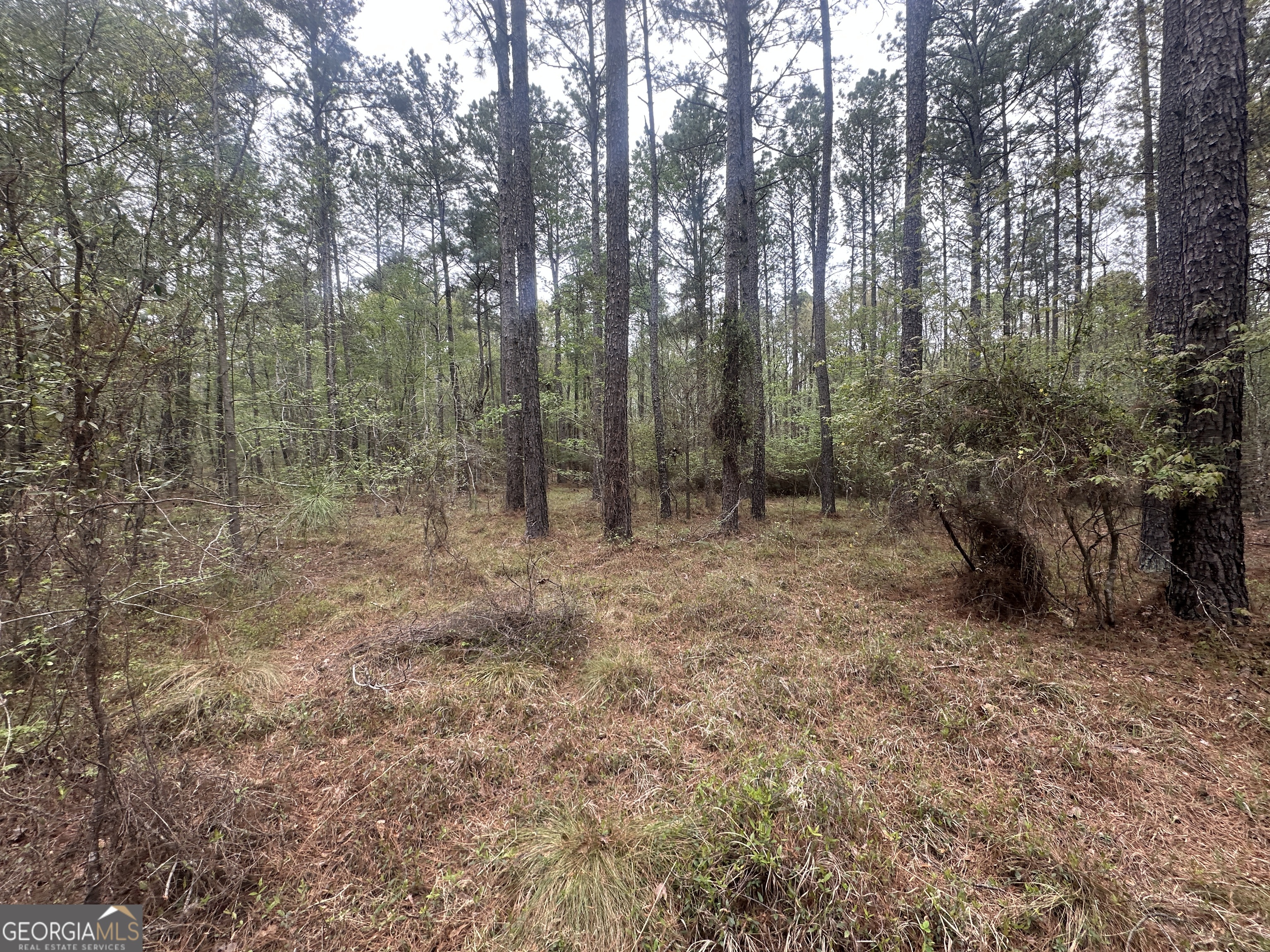 0 Fred Chance Road Millen, GA 30442 - Photo 10 of 19