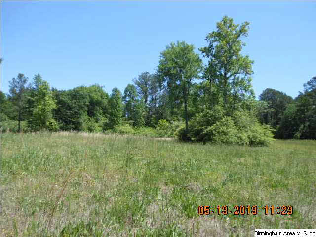 3593 Mud Creek Road, Unit 14 2 AC Adger, AL 35006 - Photo 8 of 8 Gallery Image 8