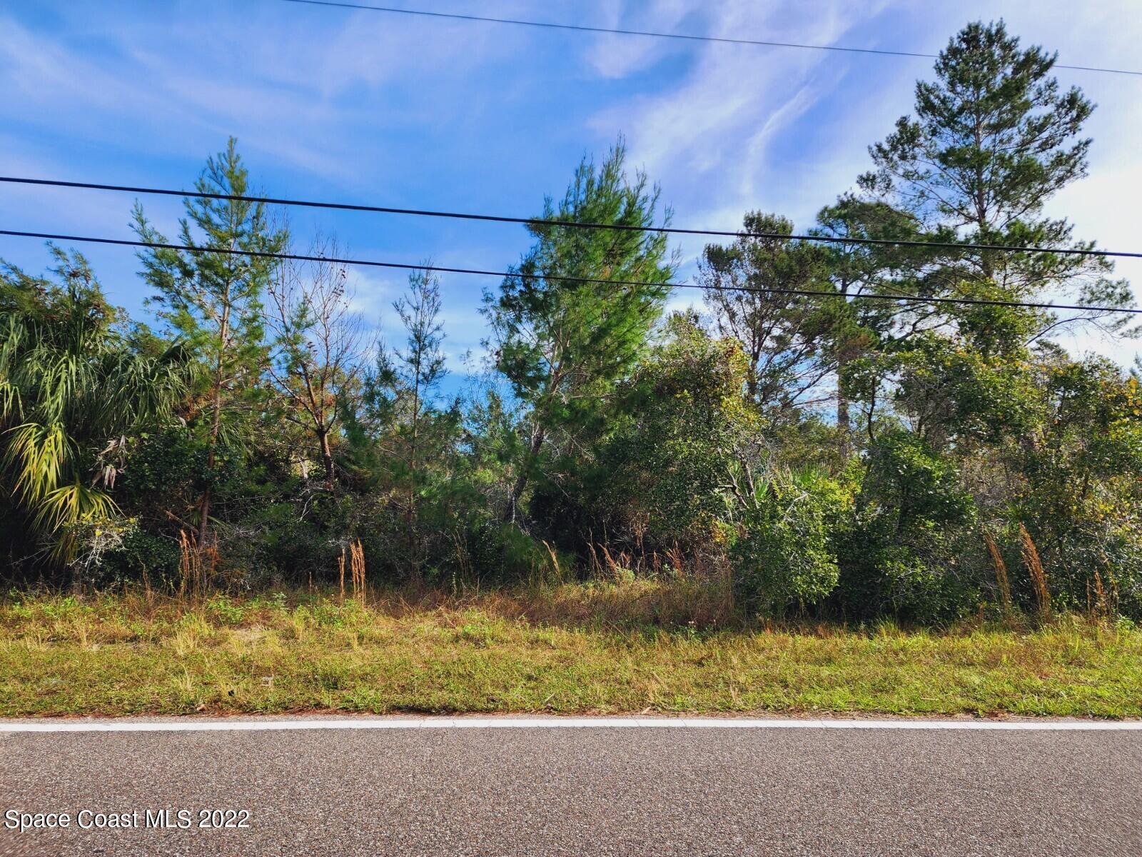 Tbd Blounts Ridge Road Mims, FL 32754 - Photo 2 of 10 20221130_103834