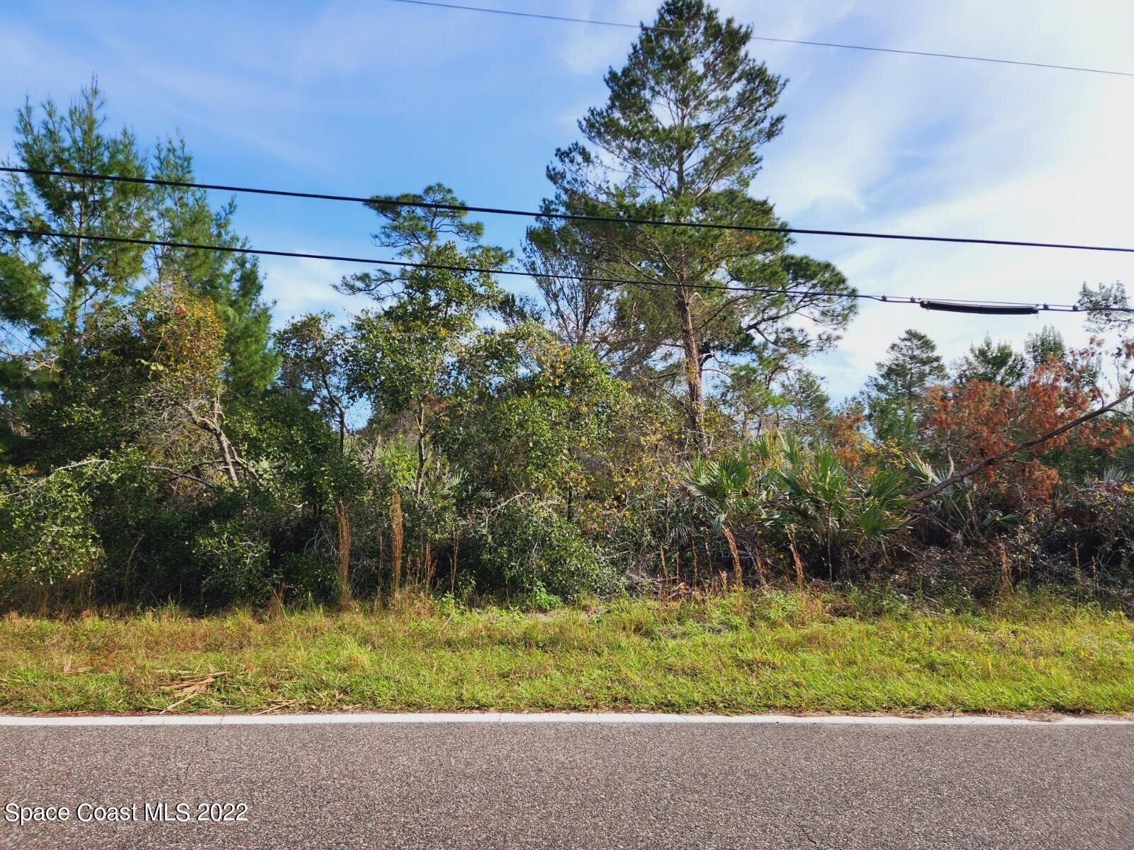 Tbd Blounts Ridge Road Mims, FL 32754 - Photo 3 of 10 20221130_103842