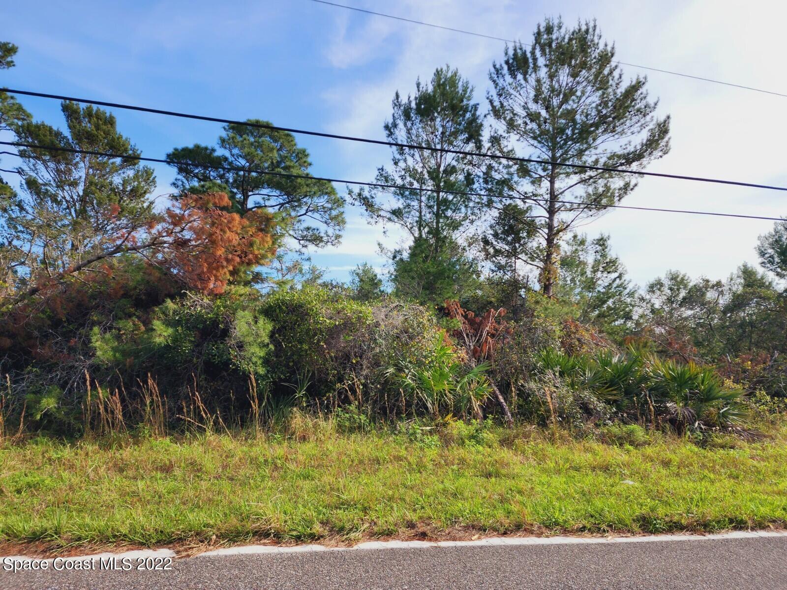 Tbd Blounts Ridge Road Mims, FL 32754 - Photo 4 of 10 20221130_103850
