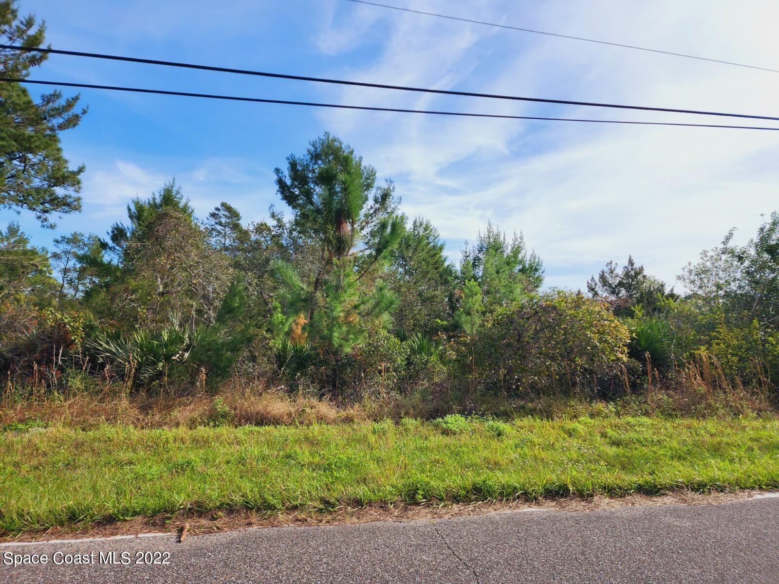 Tbd Blounts Ridge Road Mims, FL 32754 - Photo 5 of 10 20221130_103858