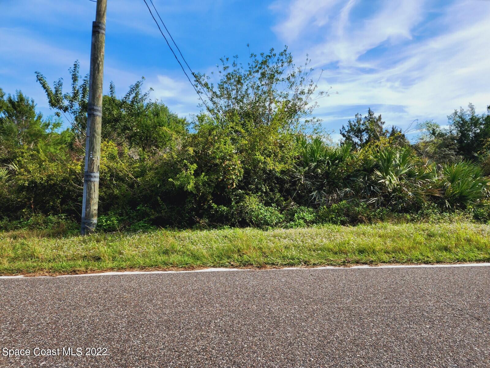 Tbd Blounts Ridge Road Mims, FL 32754 - Photo 6 of 10 20221130_103906