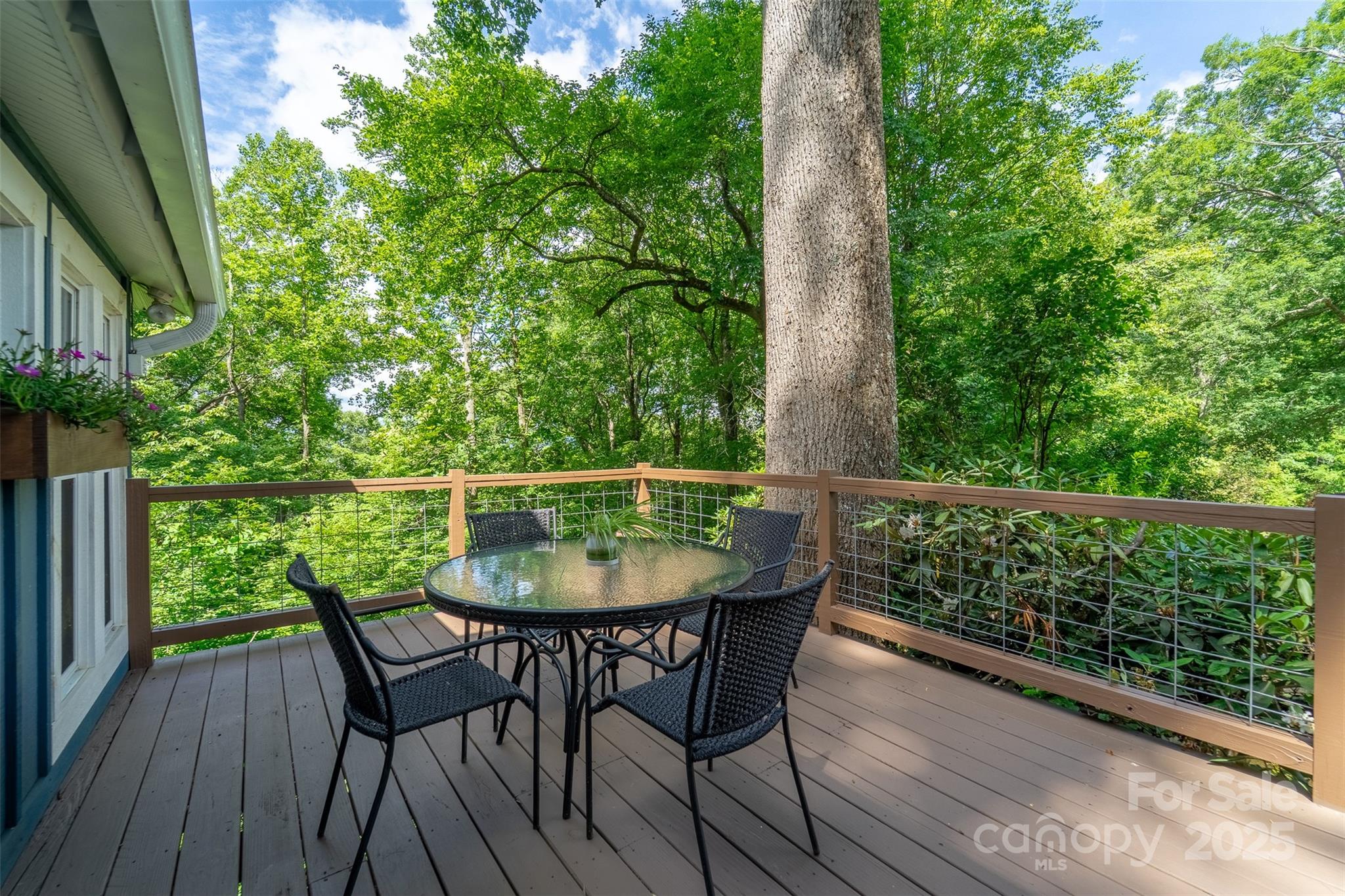 590 Claude Cook Road Sylva, NC 28779 - Photo 2 of 38 Gallery Image 2