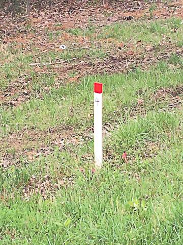 0 Shores Road Murfreesboro, TN 37128 - Photo 3 of 4 Gallery Image 3
