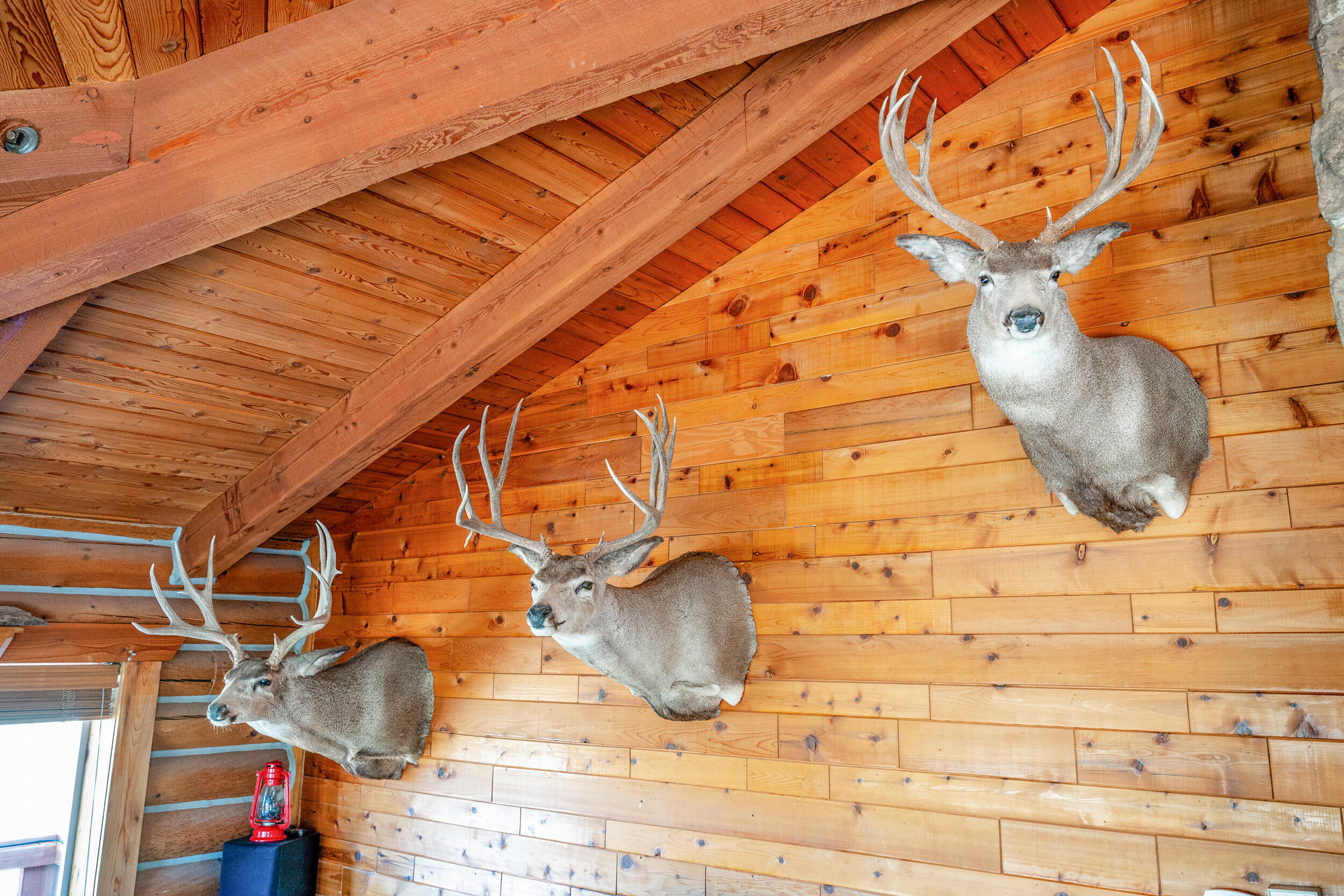 593 Lower Prairie Dog Road Sheridan, WY 82801 - Photo 108 of 142 593 lower praire dog 49