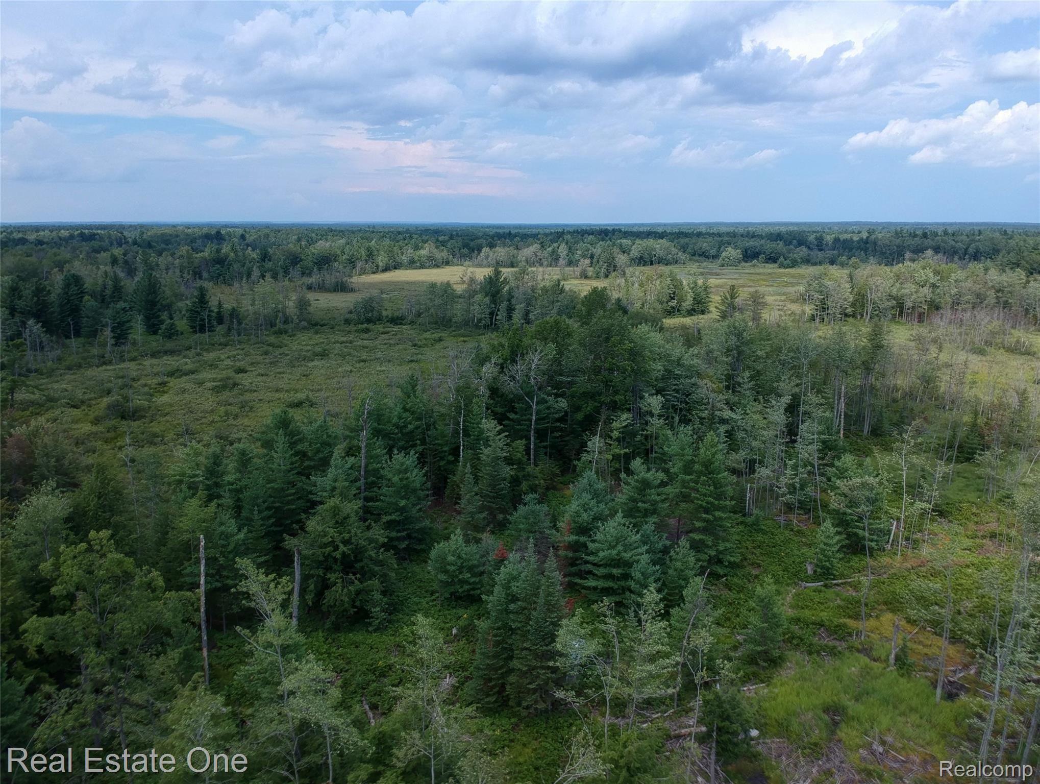 0 South Morrison Road Alger, MI 48610 - Photo 37 of 38 DJI-3620-1-2-MLS.jpg