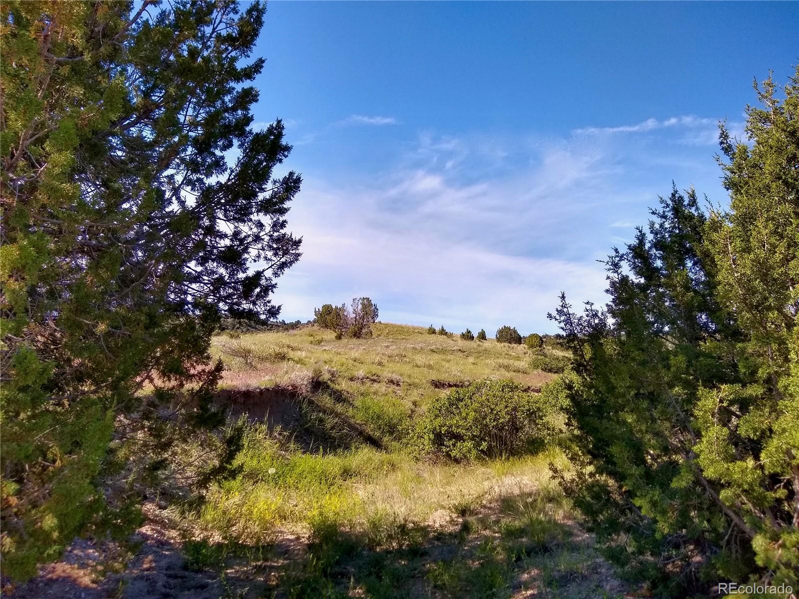 0 County 113 Lane Rye, CO 81069 - Photo 24 of 50 Gallery Image 24