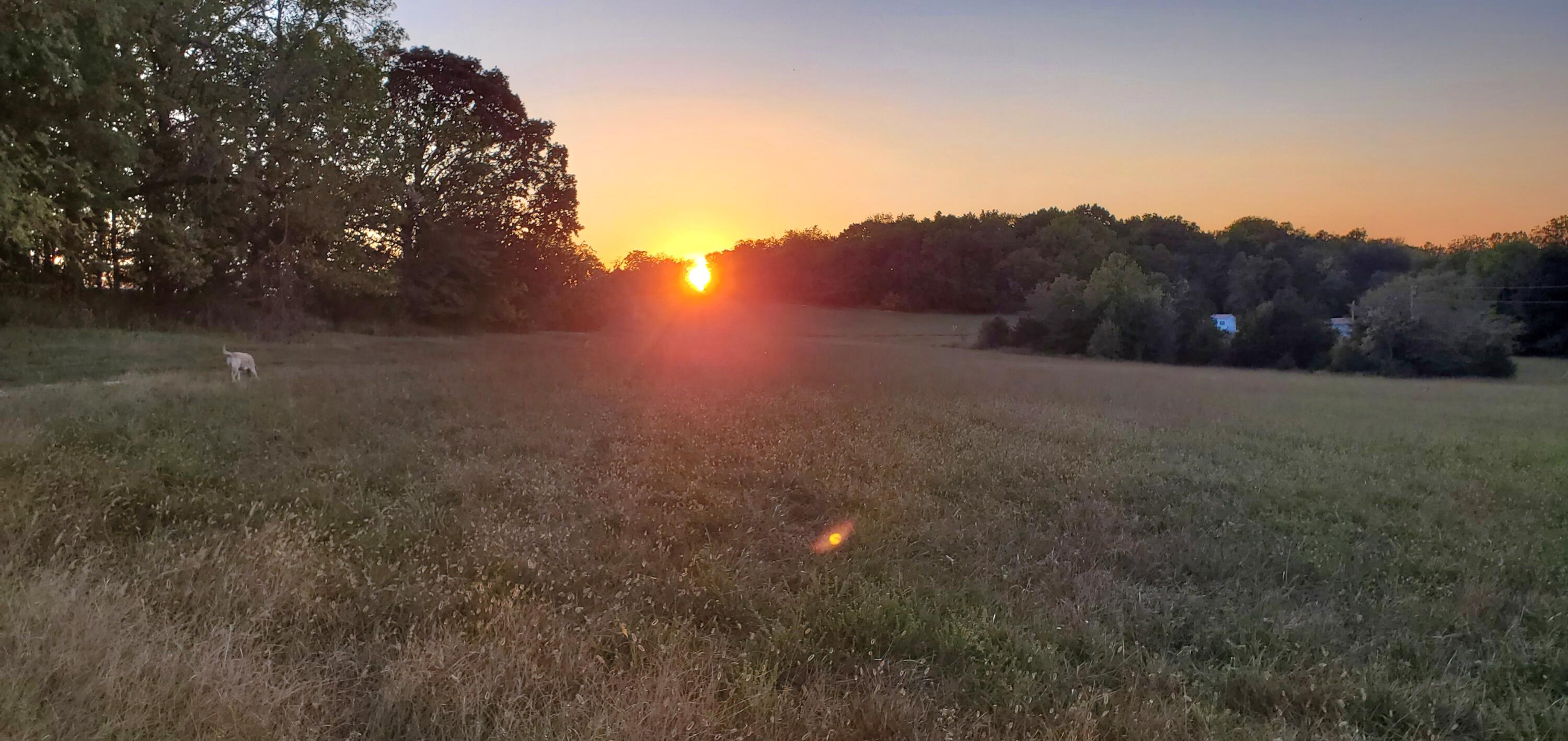 4775 South 50th Road Aldrich, MO 65601 - Photo 209 of 306 20240917_190715