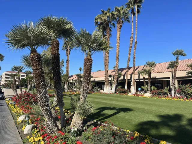 a view of a lush green hillside and houses