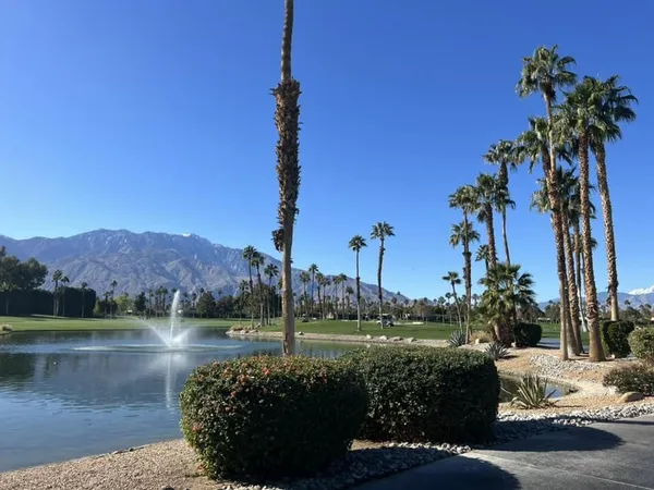 a view of a garden with a fountain