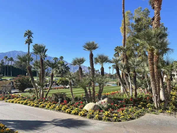 a view of a flower in a yard