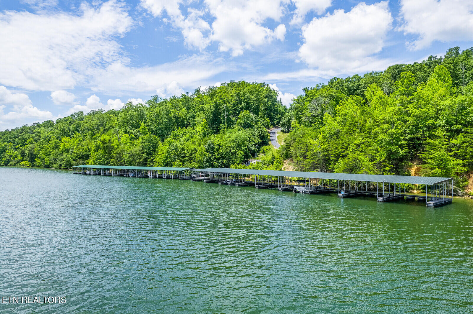 535 Hidden Forest Trail Spring Spring City, TN 37381 - Photo 3 of 18 06_Boat_Dock_6_mls
