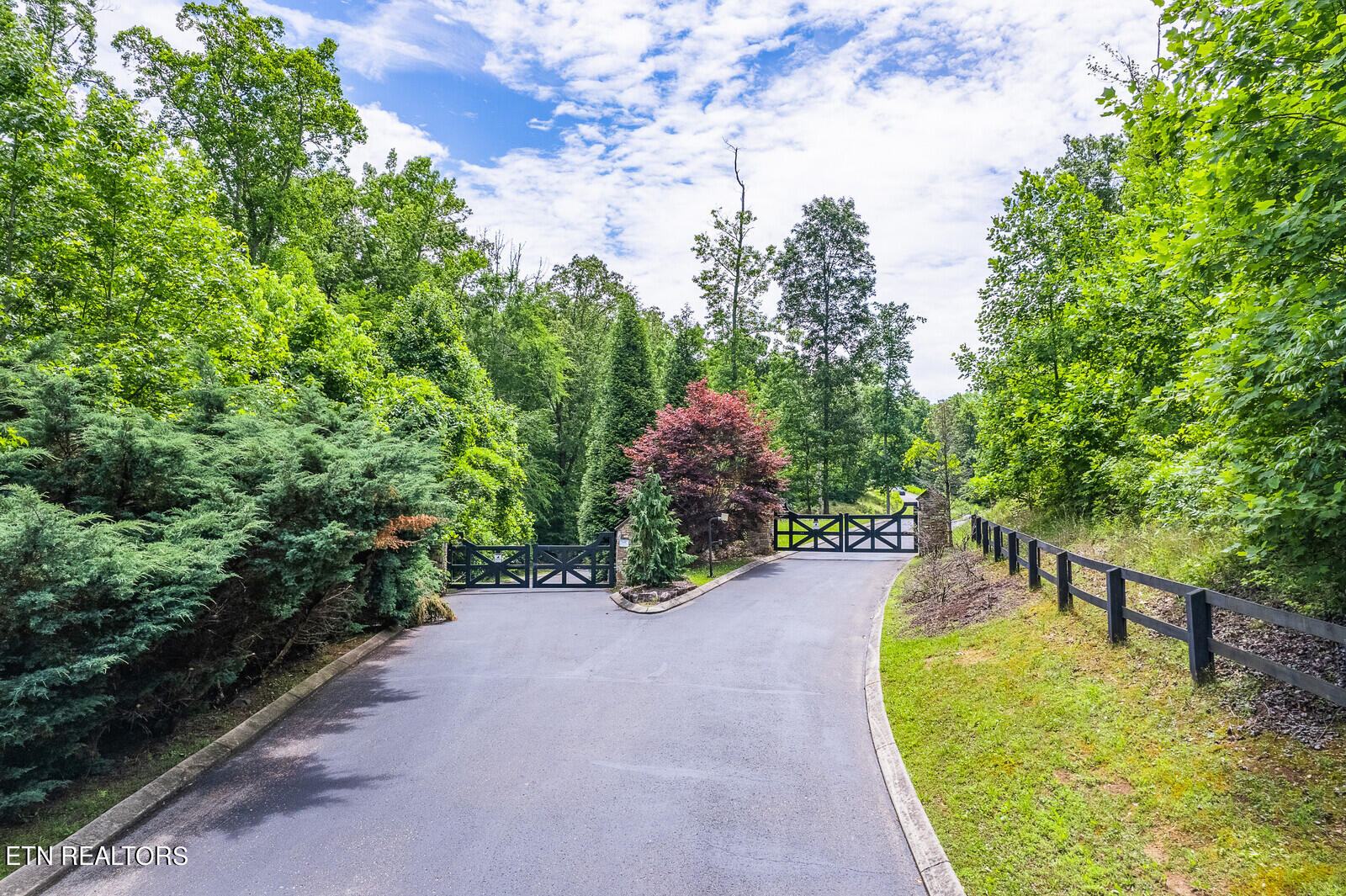 535 Hidden Forest Trail Spring Spring City, TN 37381 - Photo 6 of 18 12_Entrance_4_mls