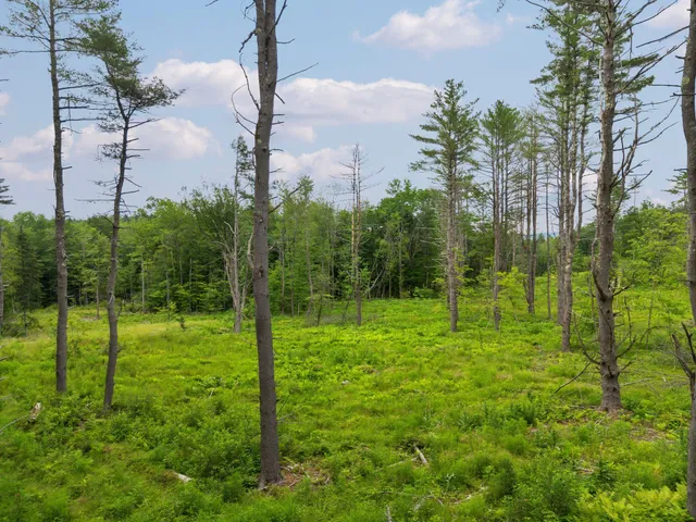 $150,000 | 315 Gove Road, Acworth, NH 03607