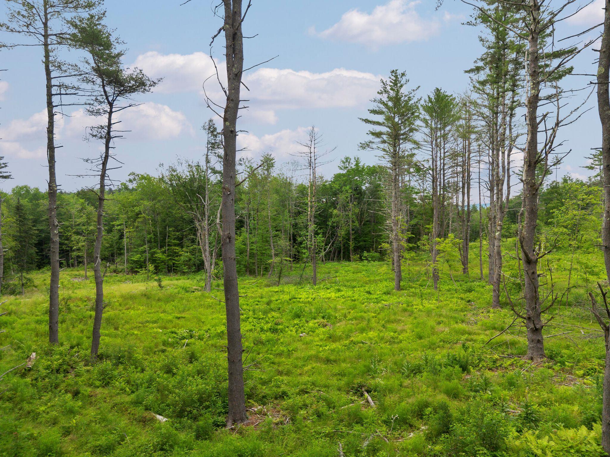 315 Gove Road Acworth, NH 03607 - Photo 11 of 17