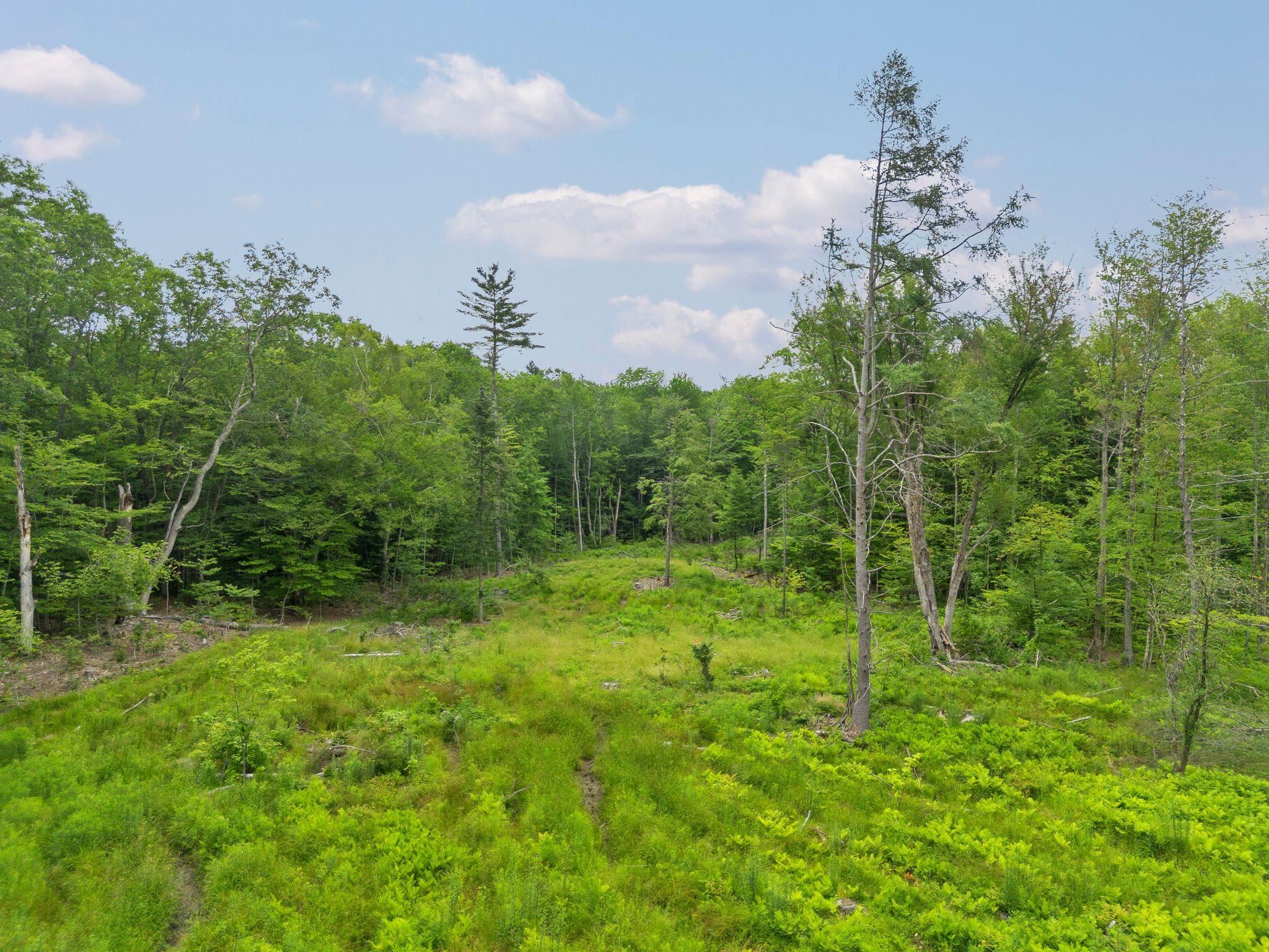 315 Gove Road Acworth, NH 03607 - Photo 12 of 17