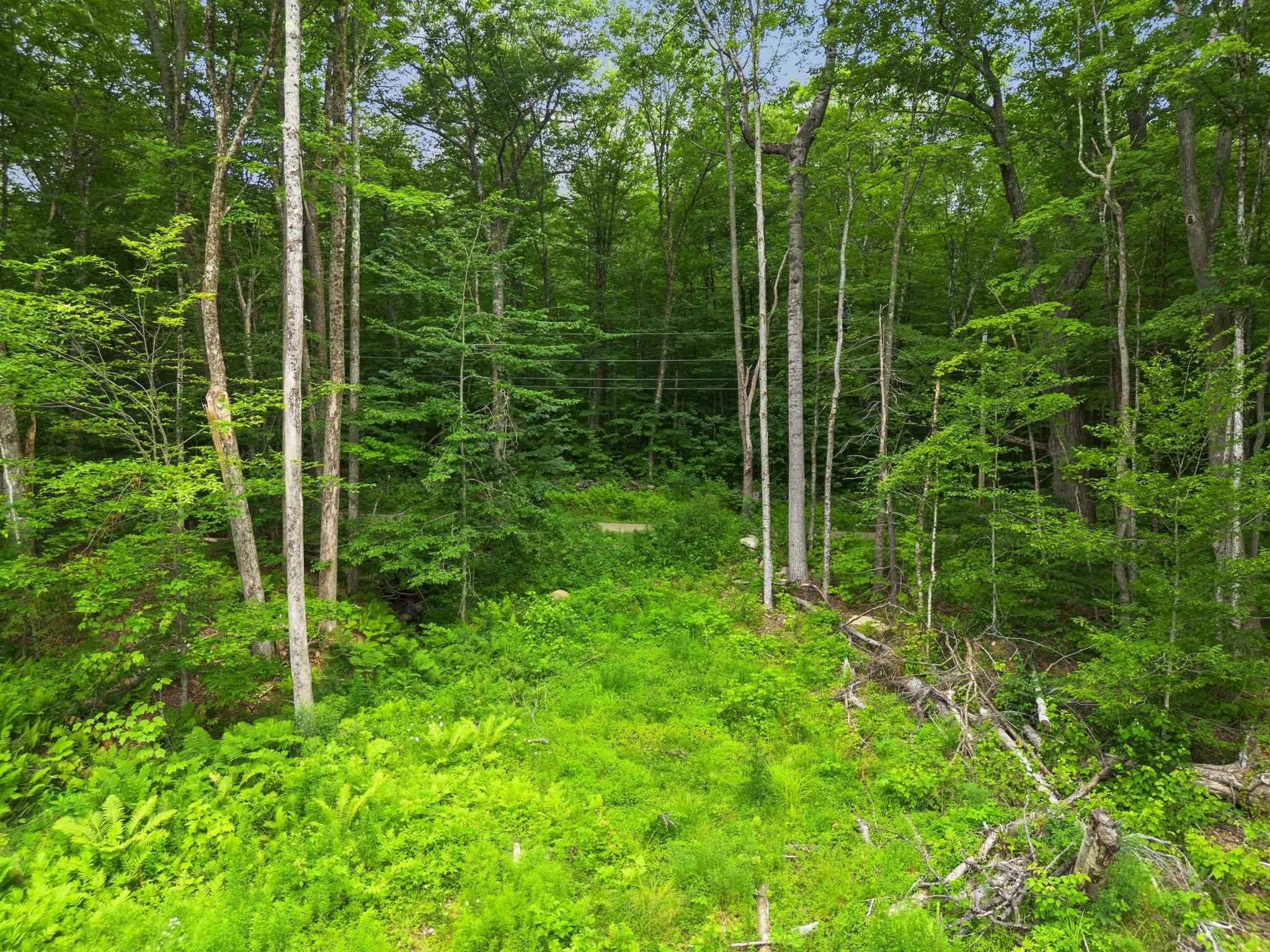 315 Gove Road Acworth, NH 03607 - Photo 15 of 17