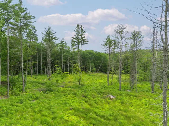 $150,000 | 315 Gove Road, Acworth, NH 03607