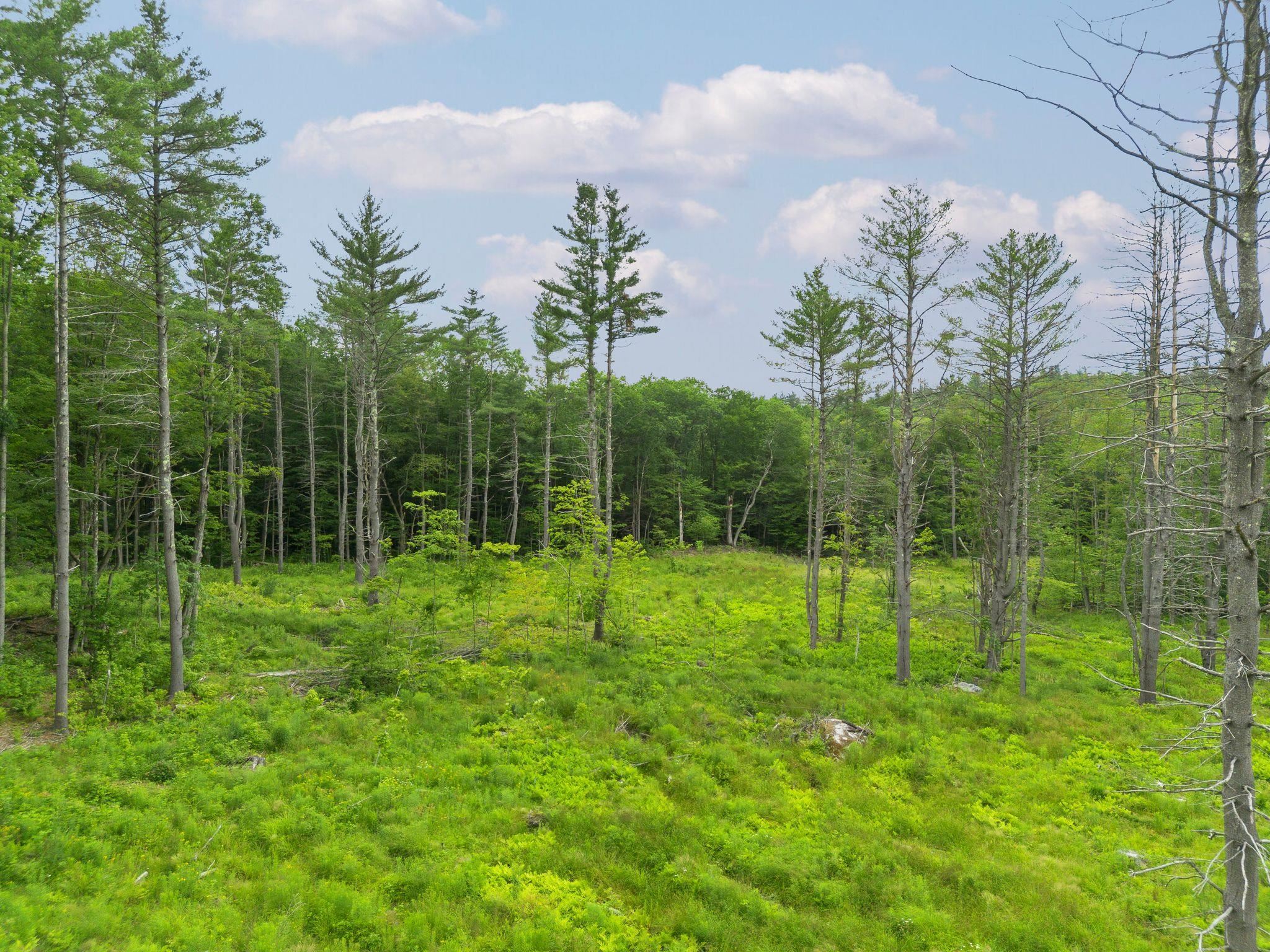 315 Gove Road Acworth, NH 03607 - Photo 16 of 17