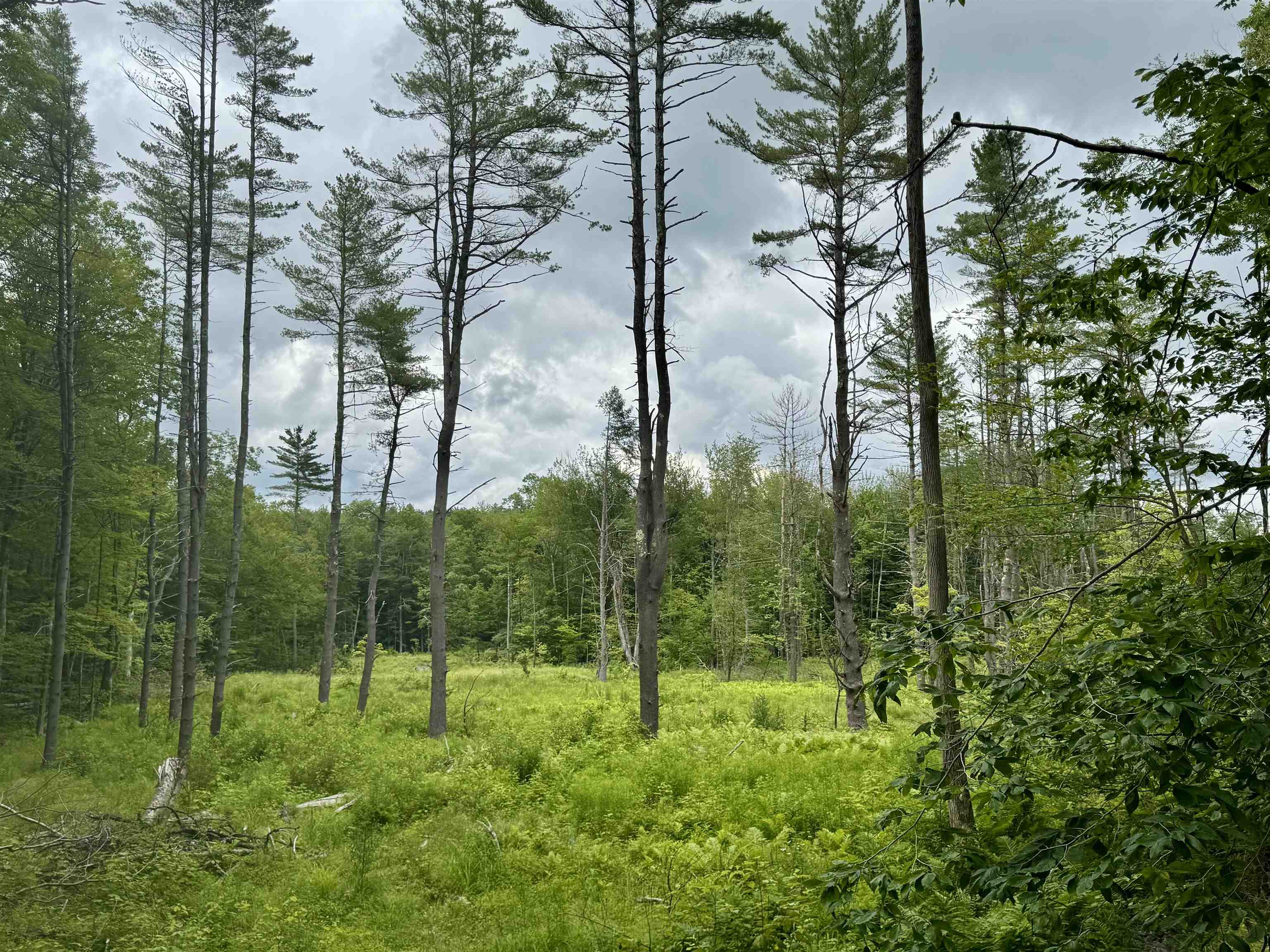 315 Gove Road Acworth, NH 03607 - Photo 17 of 17