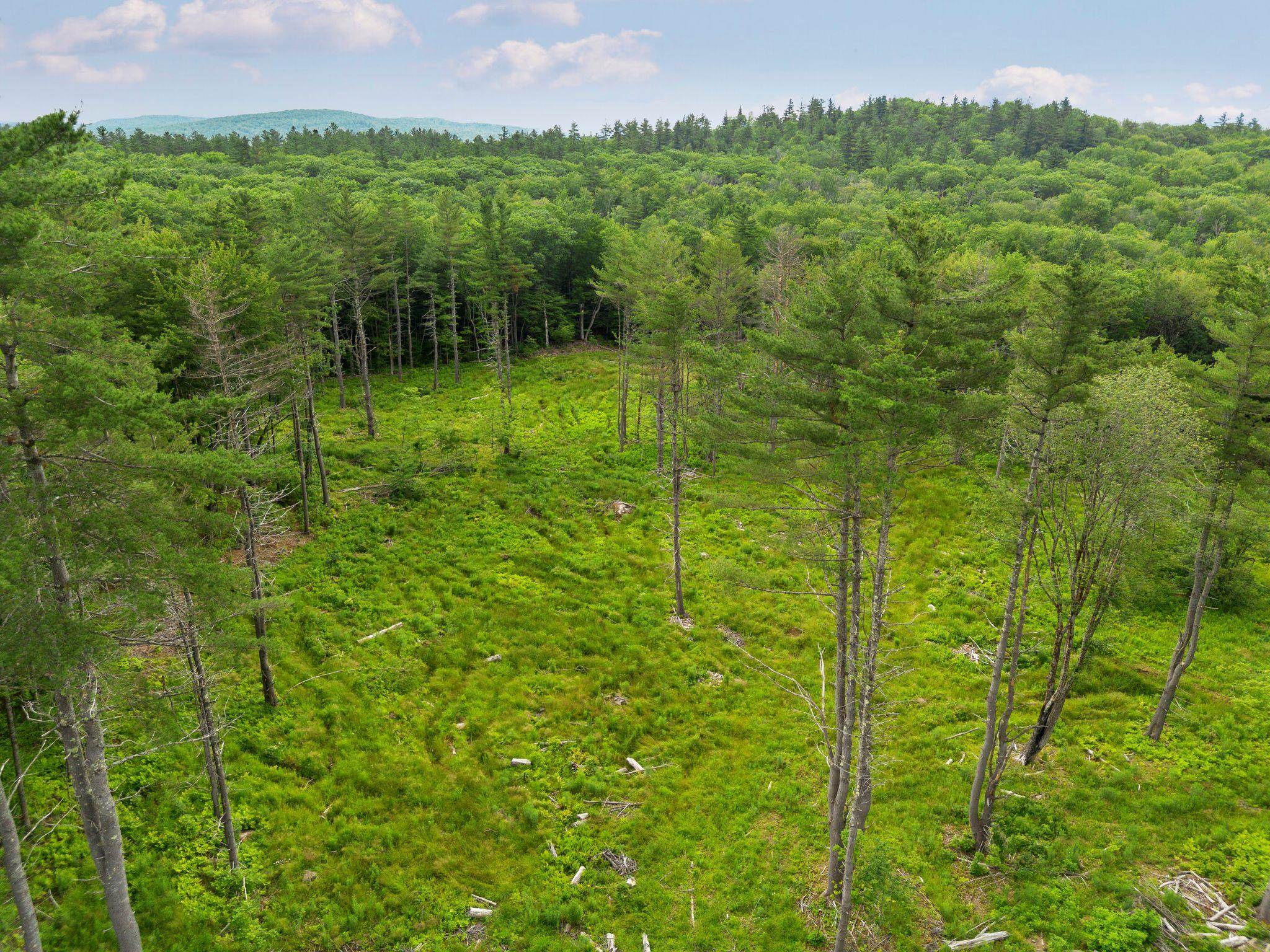 315 Gove Road Acworth, NH 03607 - Photo 3 of 17