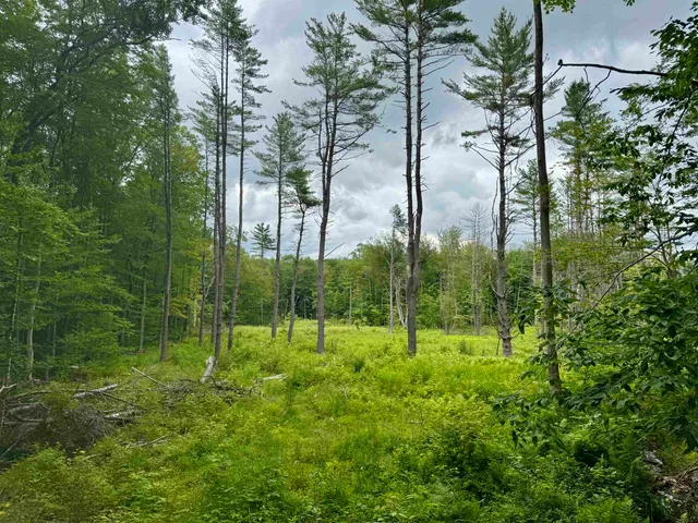 $150,000 | 315 Gove Road, Acworth, NH 03607
