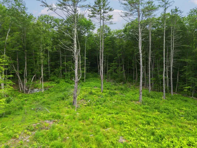 $150,000 | 315 Gove Road, Acworth, NH 03607