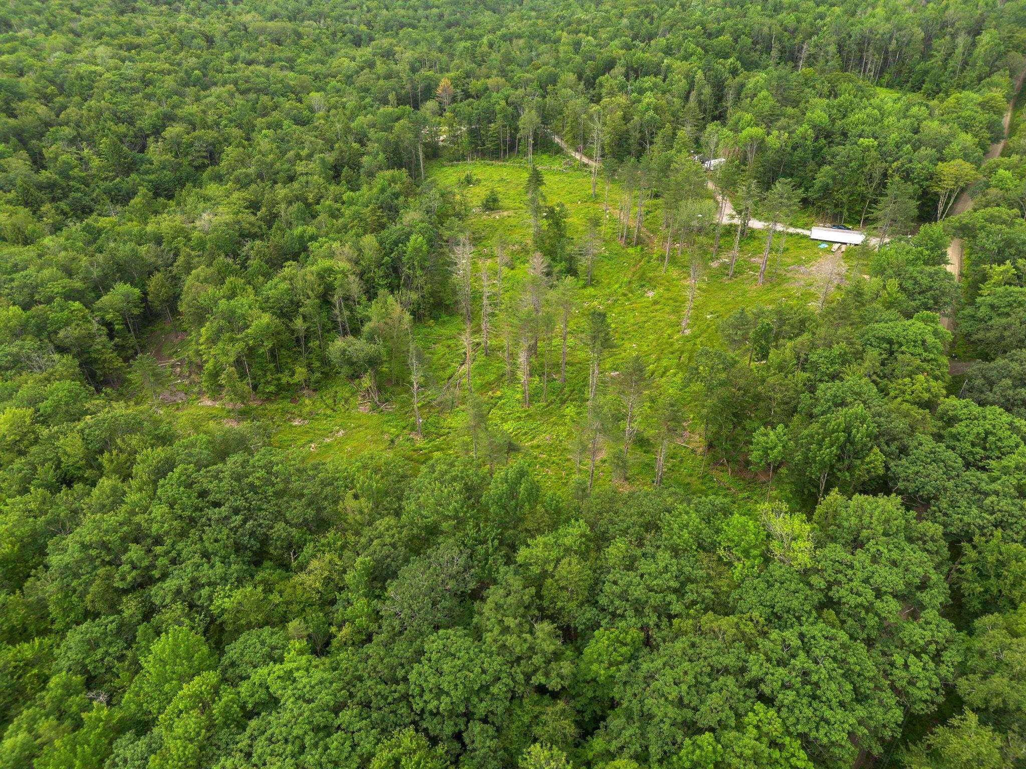 315 Gove Road Acworth, NH 03607 - Photo 6 of 17