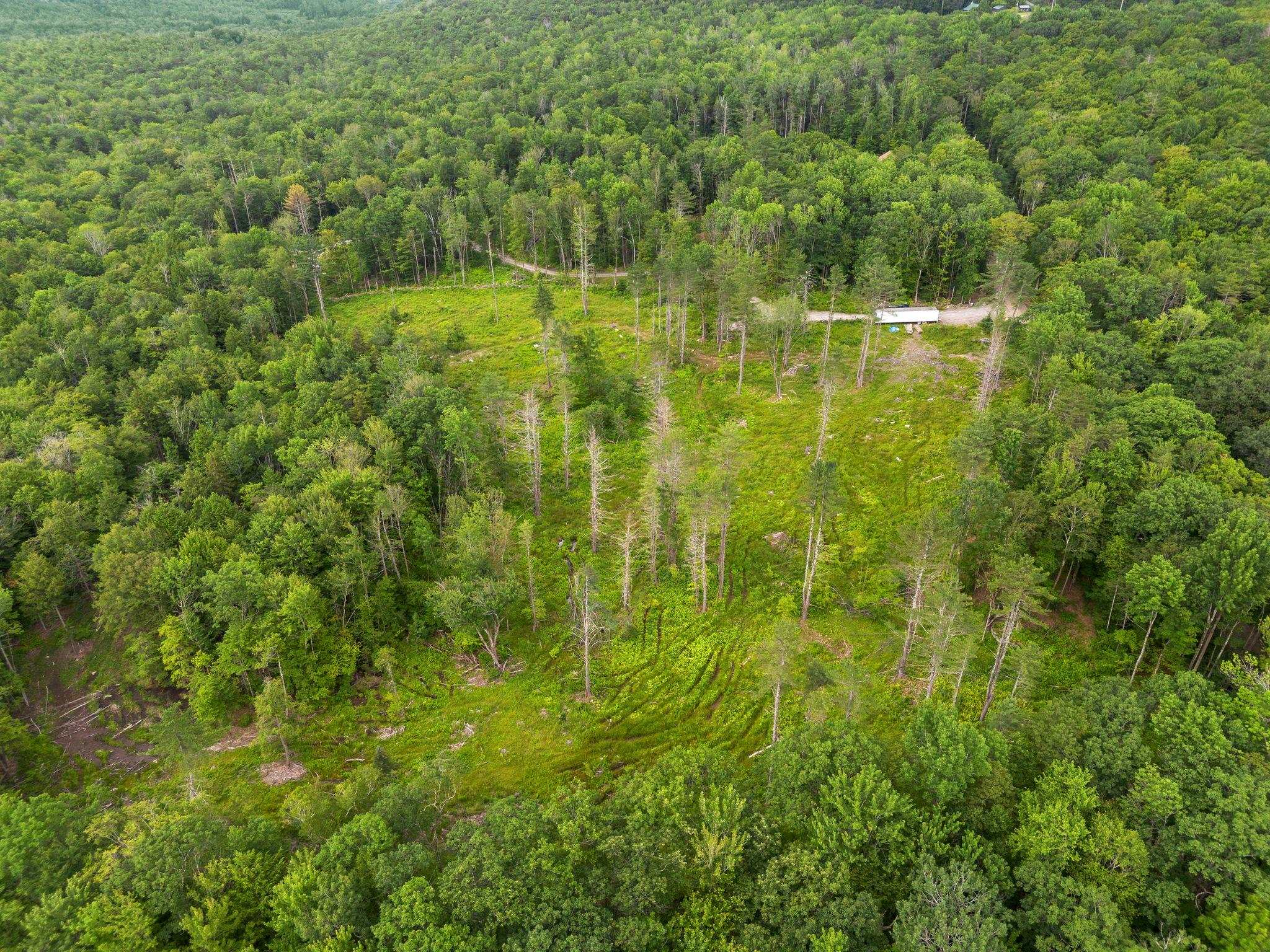 315 Gove Road Acworth, NH 03607 - Photo 8 of 17