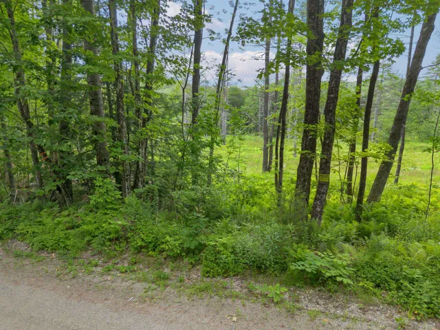 $150,000 | 315 Gove Road, Acworth, NH 03607