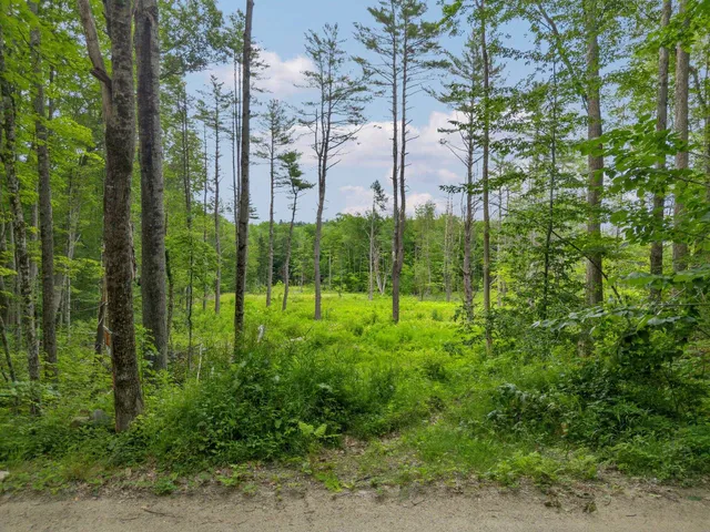 $150,000 | 315 Gove Road, Acworth, NH 03607