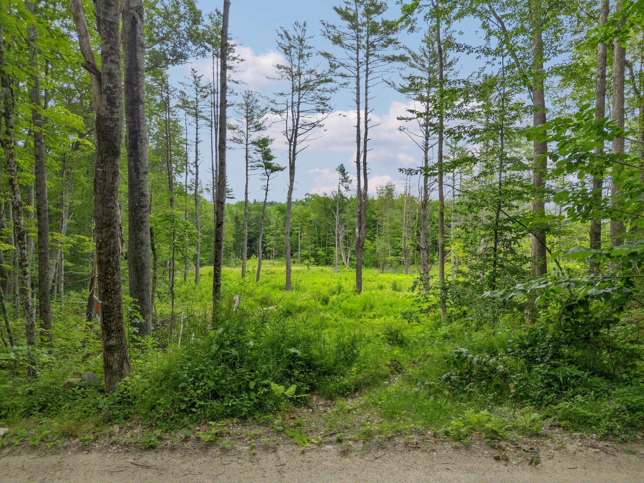 315 Gove Road Acworth, NH 03607 - Photo 10 of 17